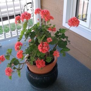 Meet your Posher, Andréa